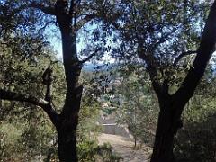 183 HYERES ET SES PALMIERS D03_000016